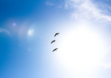 Pronóstico Valle de Uco