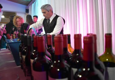 Velada de Gala Ucovin 2017