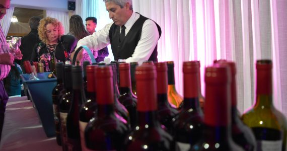 Velada de Gala Ucovin 2017