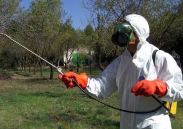 Plan Fitosanitario Tupungato