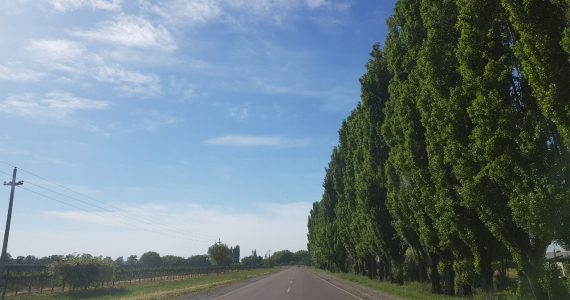 Pronóstico valle de uco