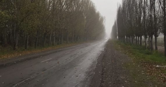 pronóstico valle de uco