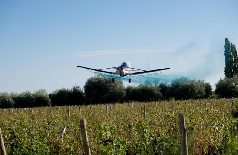 Fumigacion Aérea - Lobesia Botrana