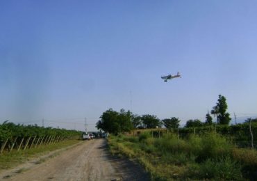 Tratamiento Aéreo Lobesia Botrana