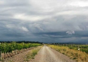 Pronóstico Valle de Uco