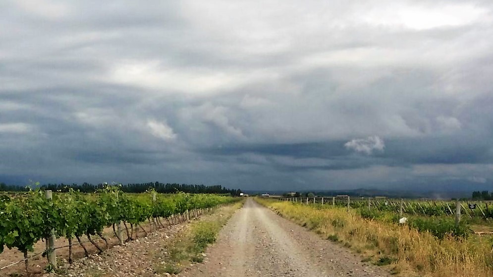 Pronóstico Valle de Uco