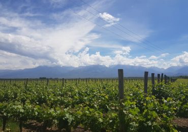 Pronóstico Valle de Uco