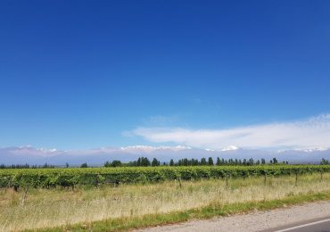 Pronóstico Valle de Uco