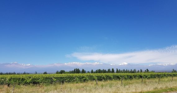 Pronóstico Valle de Uco