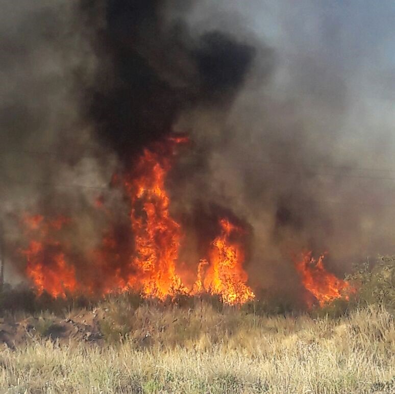 Incendio en Tupungato