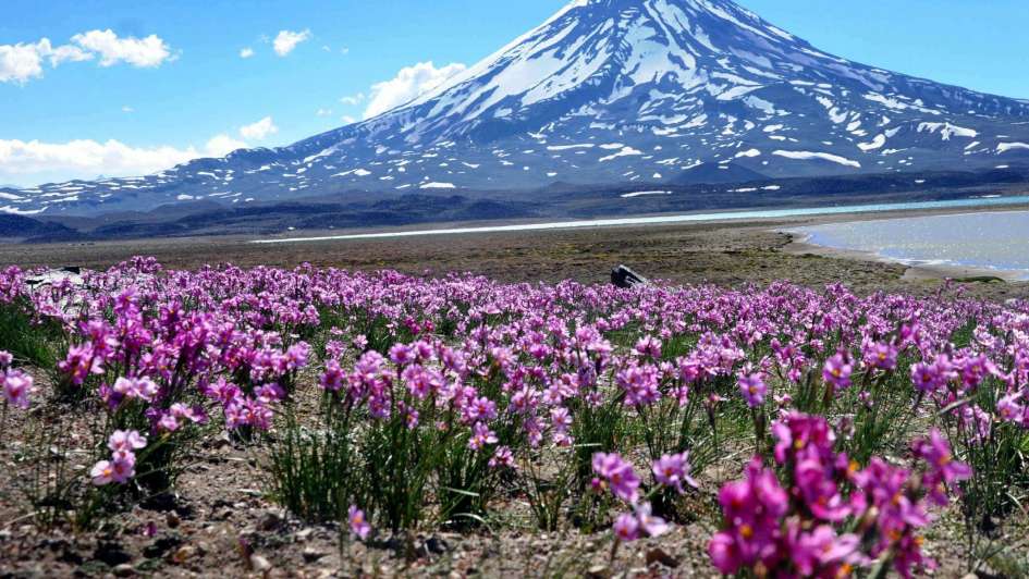 Habilitaron el camino de ingreso a la Laguna del Diamante