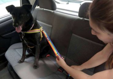 Hoy entra en vigencia la nueva Ley de Tránsito