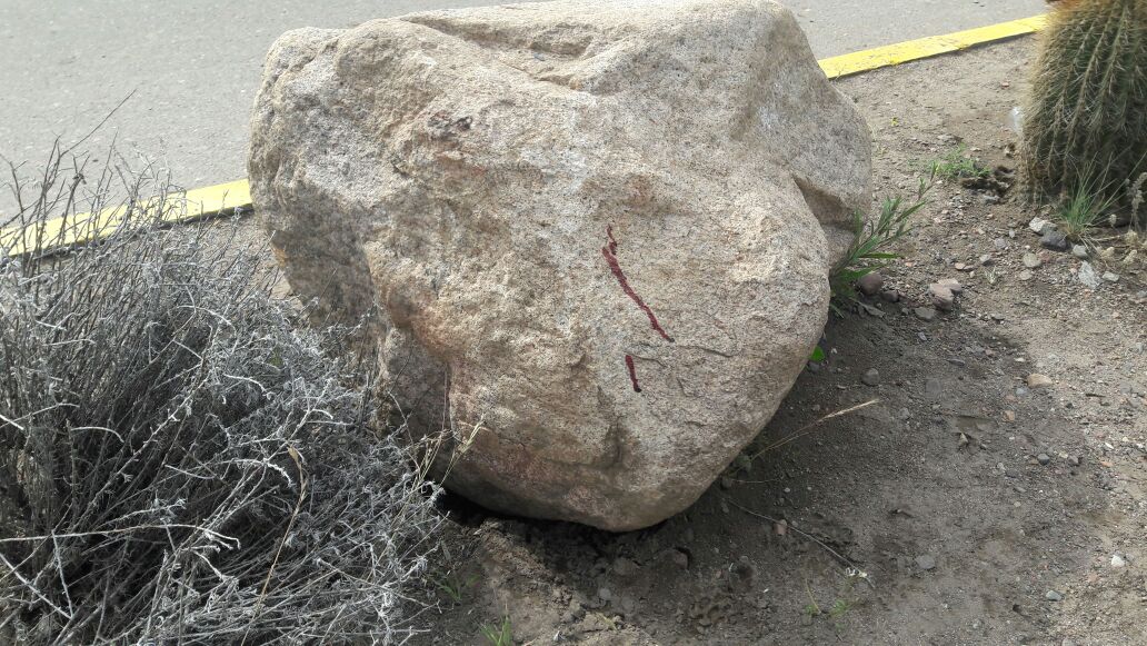 El conductor sufrió graves heridas tras golpear una gran roca