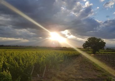 Pronóstico Valle de Uco