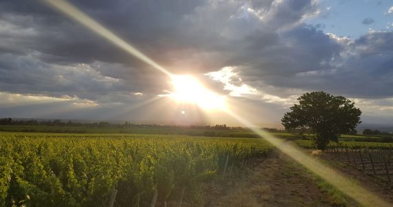 Pronóstico Valle de Uco