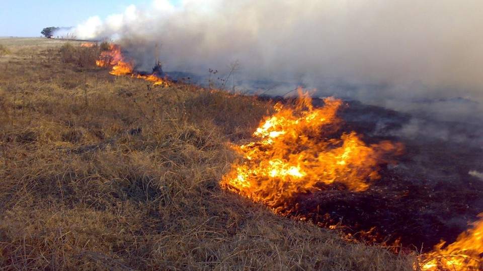 Incendio Mendoza