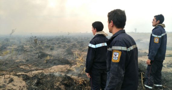 Incendios en el Sur: el 100% del perímetro está contenido