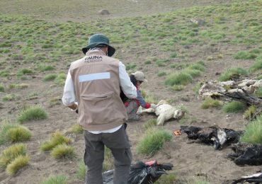 Ambiente impulsa la ley de trazabilidad de agroquímicos
