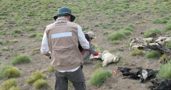 Ambiente impulsa la ley de trazabilidad de agroquímicos