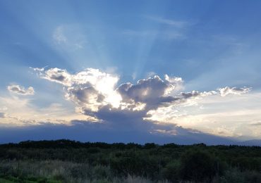 Pronóstico Valle de Uco