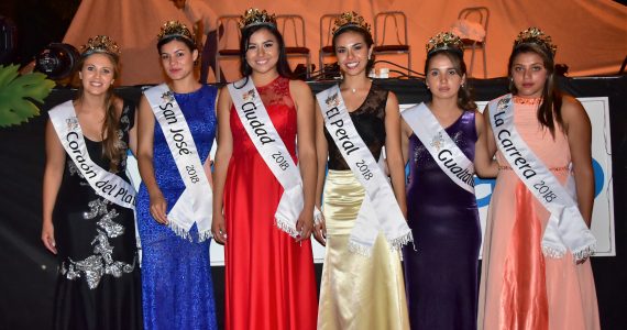 Vendimia Distrital Cordón del Plata