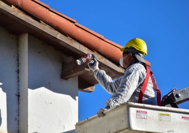 CONTROL DE PLAGA DE MUERCIÉLAGOS Y PALOMAS.