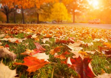 Hoy comienza el otoño en Argentina