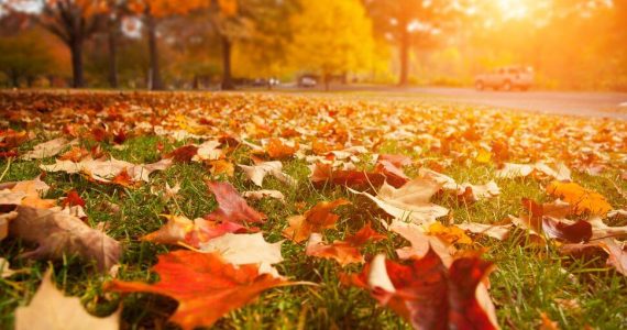 Hoy comienza el otoño en Argentina
