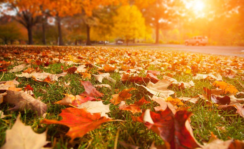 Hoy comienza el otoño en Argentina