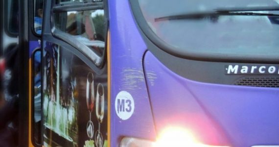 Recorrido de Colectivos Vamos las Bandas