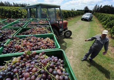 Crédito Cosecha y Acarreo