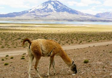 Positivo balance de la temporada en Laguna del Diamante