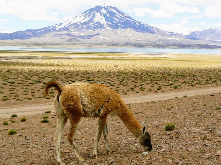 Positivo balance de la temporada en Laguna del Diamante