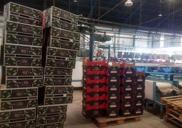 Se trata de Productos de Manantial de Vista Flores, quien vendió su primera carga a Europa