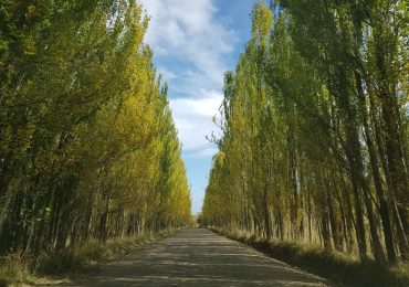 Pronóstico Valle de Uco