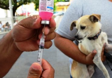 Programa de Vacunación antirrábica en Tupungato.