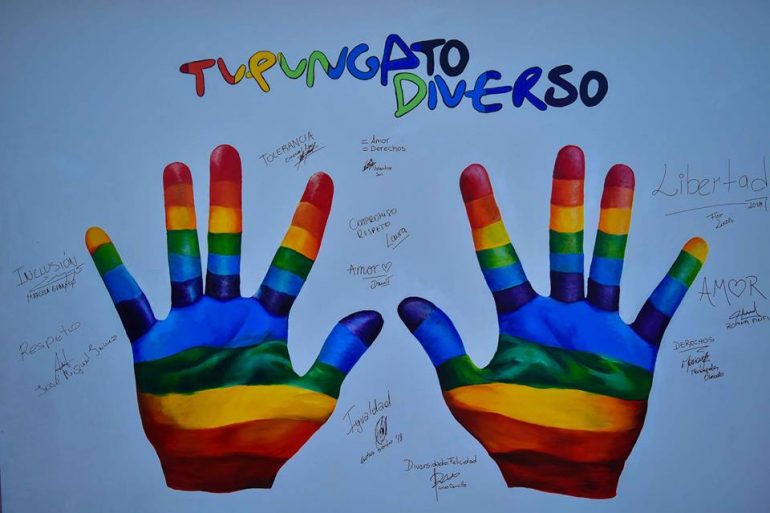 Tupungato Diverso
