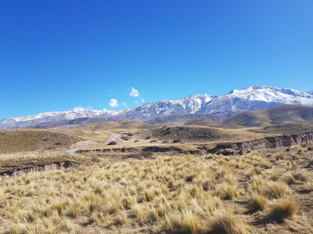 Pronóstico Valle De Uco