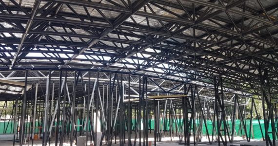 ampliacion scaravelli