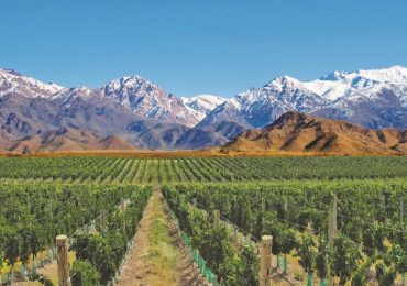 Pronóstico Valle De Uco