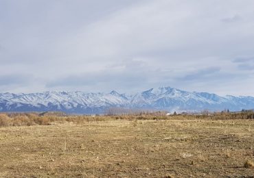 Pronóstico Valle De Uco