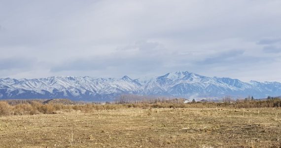 Pronóstico Valle De Uco