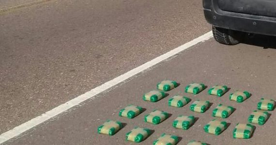 Intentaban cruzar hojas de coca a Tupungato