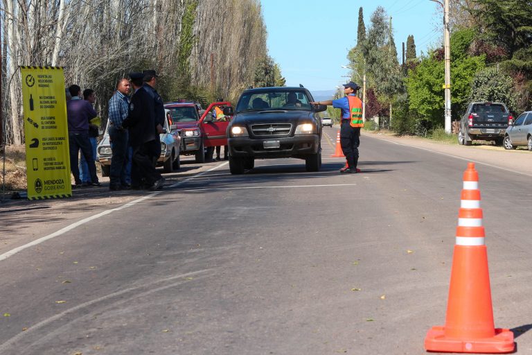 Controles vehiculares