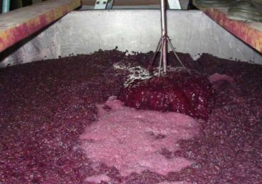 Investigan si el empresario realmente falleció por un accidente