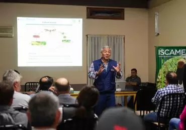 Lobesia Botrana Tgto