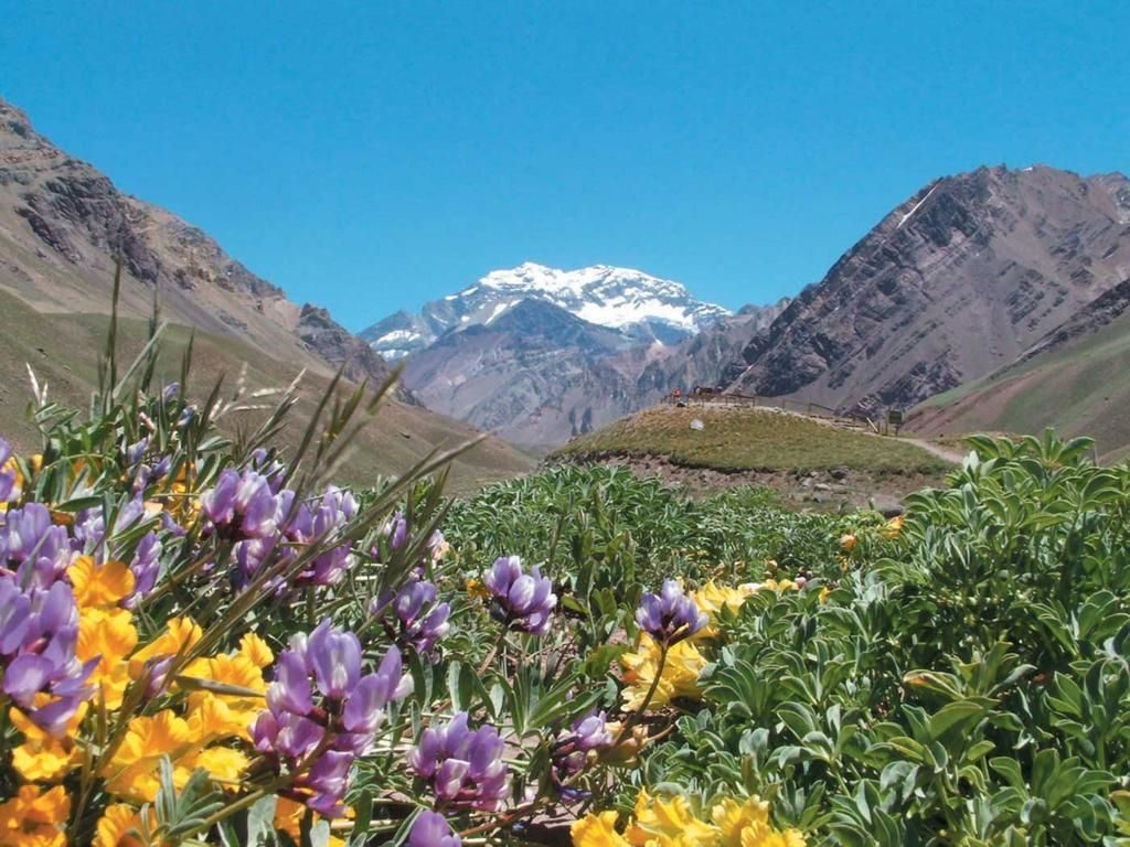 primavera en Mendoza