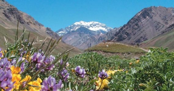 primavera en Mendoza
