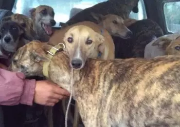 En el interior había dos adultos y dos niños. Ministerio de Seguridad