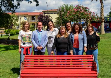 Día Inter. Contra la Violencia hacia las Mujeres HCD Tgto3